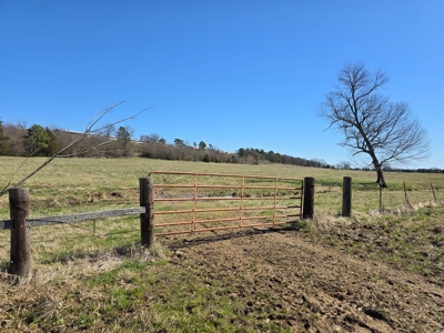 Southeast Oklahoma Cattle Ranch For Sale - image 4