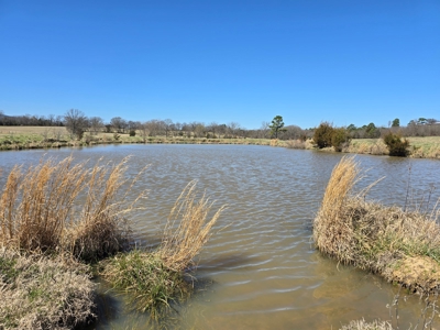 Southeast Oklahoma Cattle Ranch For Sale - image 31