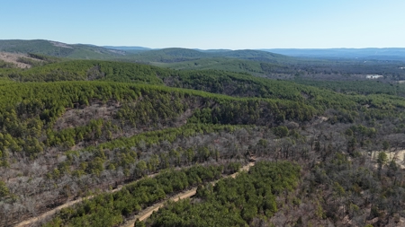 Nashoba, Ok Land For Sale - Hardy Creek Estates Tract #29 - image 3
