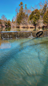 Nashoba, Ok Land For Sale - Hardy Creek Estates Tract #29 - image 19