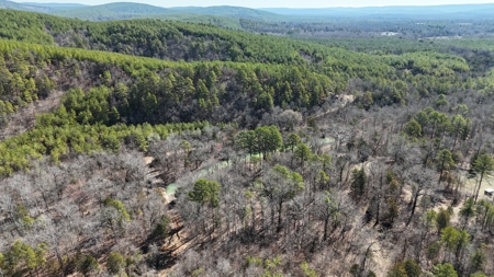 Nashoba, Ok Land For Sale - Hardy Creek Estates Tract #29 - image 2