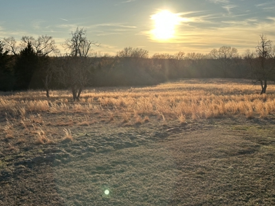 Brick Home with Acreage for Sale in Hugo, Oklahoma - image 8