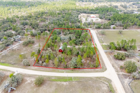 Home For Sale in Morriston, FL on 5 Acres - image 14