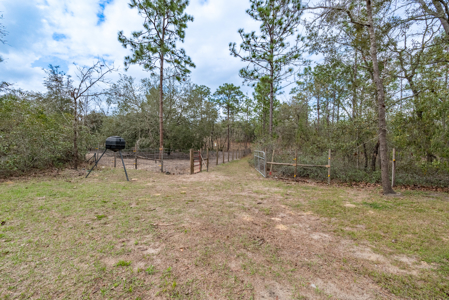 Home For Sale in Morriston, FL on 5 Acres - image 11