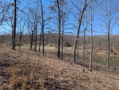 Ozarks Cabin And Hobby Farm/Recreational Acreage - image 39