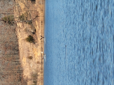 Ozarks Cabin And Hobby Farm/Recreational Acreage - image 6