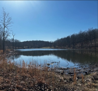 Ozarks Cabin And Hobby Farm/Recreational Acreage - image 35