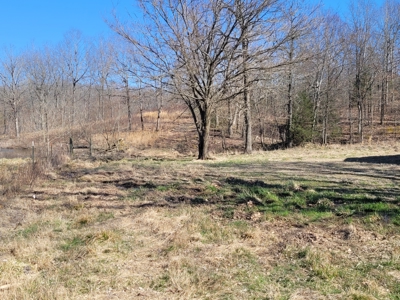 Ozarks Cabin And Hobby Farm/Recreational Acreage - image 13