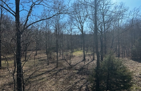 Ozarks Cabin And Hobby Farm/Recreational Acreage - image 38