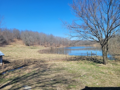 Ozarks Cabin And Hobby Farm/Recreational Acreage - image 27