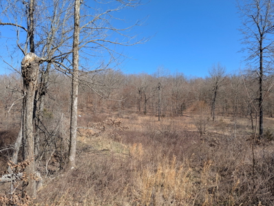 Ozarks Cabin And Hobby Farm/Recreational Acreage - image 42