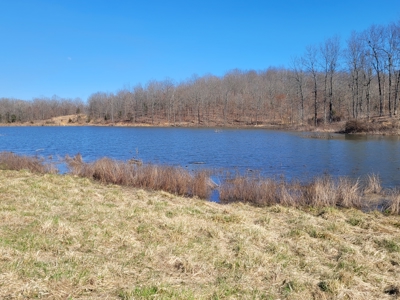 Ozarks Cabin And Hobby Farm/Recreational Acreage - image 11
