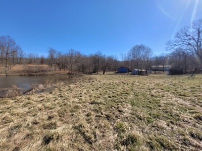 Ozarks Cabin And Hobby Farm/Recreational Acreage - image 10
