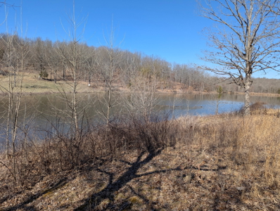 Ozarks Cabin And Hobby Farm/Recreational Acreage - image 44