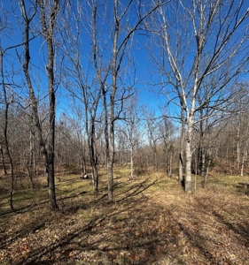 Ozarks Cabin And Hobby Farm/Recreational Acreage - image 37