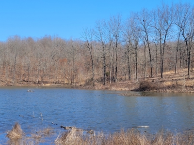 Ozarks Cabin And Hobby Farm/Recreational Acreage - image 8