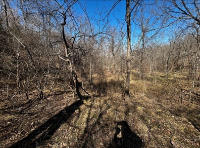 Ozarks Cabin And Hobby Farm/Recreational Acreage - image 36