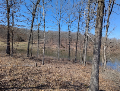 Ozarks Cabin And Hobby Farm/Recreational Acreage - image 40