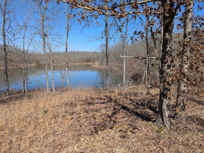 Ozarks Cabin And Hobby Farm/Recreational Acreage - image 43