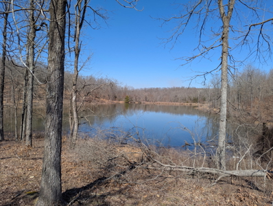 Ozarks Cabin And Hobby Farm/Recreational Acreage - image 41