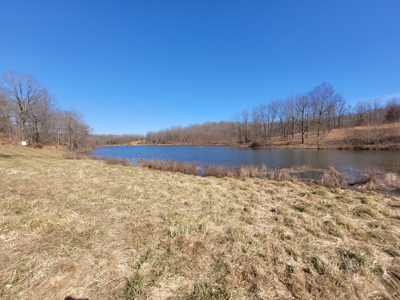 Ozarks Cabin And Hobby Farm/Recreational Acreage - image 12