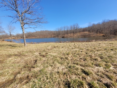 Ozarks Cabin And Hobby Farm/Recreational Acreage - image 7