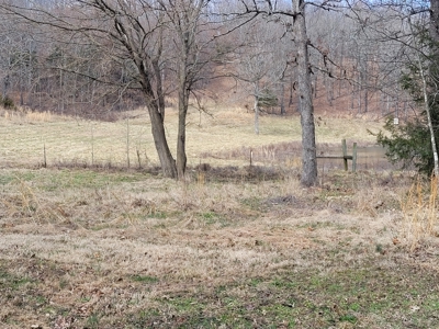 Ozarks Cabin And Hobby Farm/Recreational Acreage - image 32