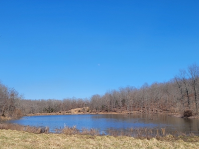 Ozarks Cabin And Hobby Farm/Recreational Acreage - image 5