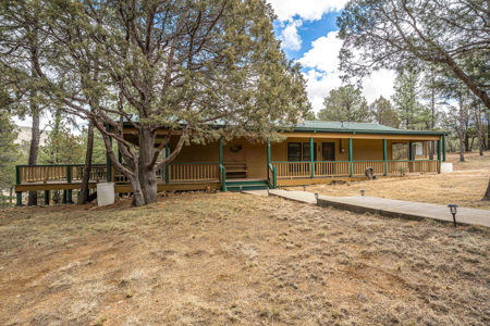 Hunting Property with Furnished Cabin for Sale in Timberon, New Mexico - image 2