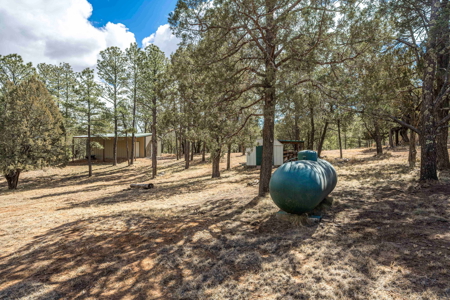 Hunting Property with Furnished Cabin for Sale in Timberon, New Mexico - image 41