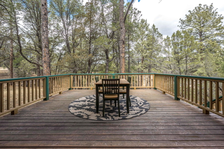 Hunting Property with Furnished Cabin for Sale in Timberon, New Mexico - image 20