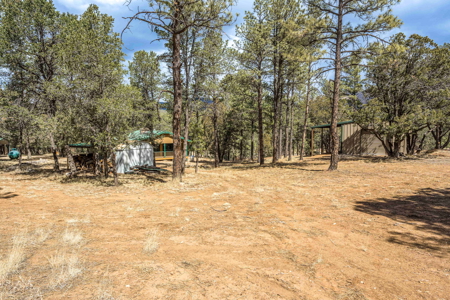 Hunting Property with Furnished Cabin for Sale in Timberon, New Mexico - image 39