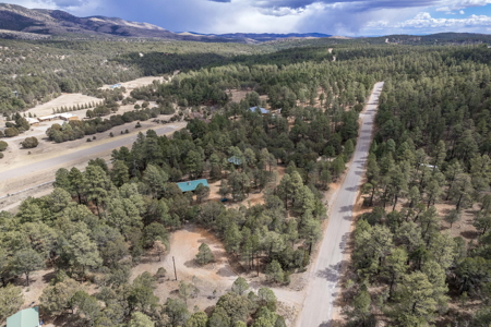 Hunting Property with Furnished Cabin for Sale in Timberon, New Mexico - image 44