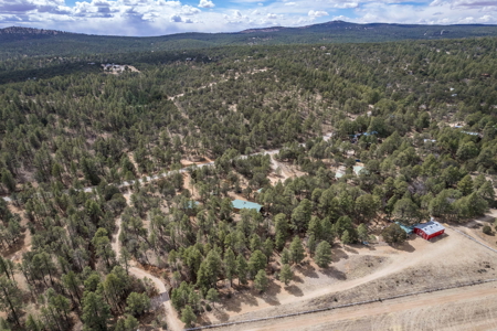 Hunting Property with Furnished Cabin for Sale in Timberon, New Mexico - image 47