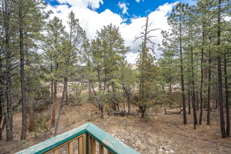 Hunting Property with Furnished Cabin for Sale in Timberon, New Mexico - image 23