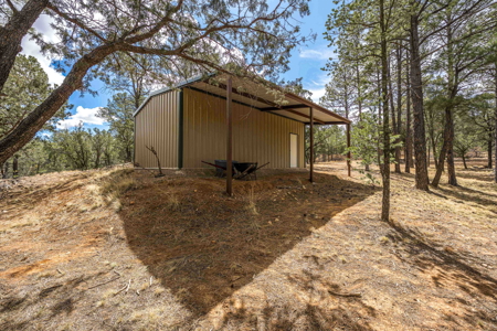 Hunting Property with Furnished Cabin for Sale in Timberon, New Mexico - image 33