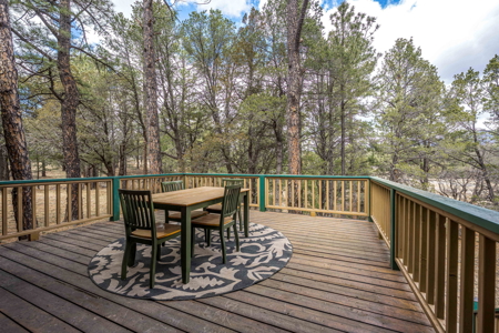 Hunting Property with Furnished Cabin for Sale in Timberon, New Mexico - image 22