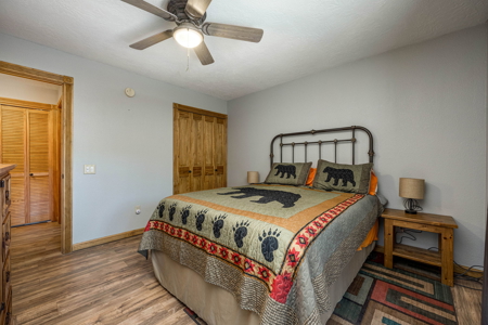 Hunting Property with Furnished Cabin for Sale in Timberon, New Mexico - image 17