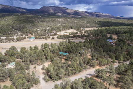 Hunting Property with Furnished Cabin for Sale in Timberon, New Mexico - image 45