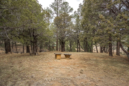 Hunting Property with Furnished Cabin for Sale in Timberon, New Mexico - image 34