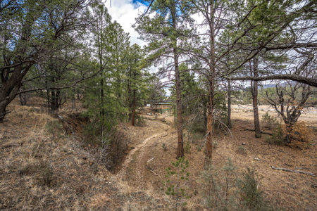 Hunting Property with Furnished Cabin for Sale in Timberon, New Mexico - image 36