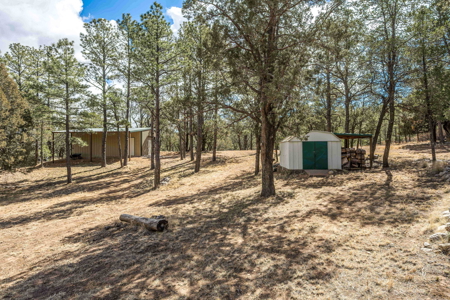 Hunting Property with Furnished Cabin for Sale in Timberon, New Mexico - image 26
