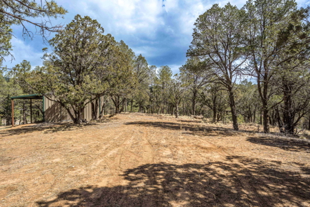 Hunting Property with Furnished Cabin for Sale in Timberon, New Mexico - image 40