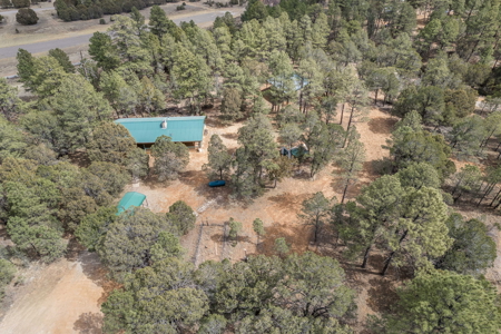 Hunting Property with Furnished Cabin for Sale in Timberon, New Mexico - image 43