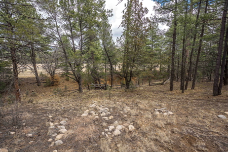 Hunting Property with Furnished Cabin for Sale in Timberon, New Mexico - image 35
