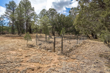 Hunting Property with Furnished Cabin for Sale in Timberon, New Mexico - image 38