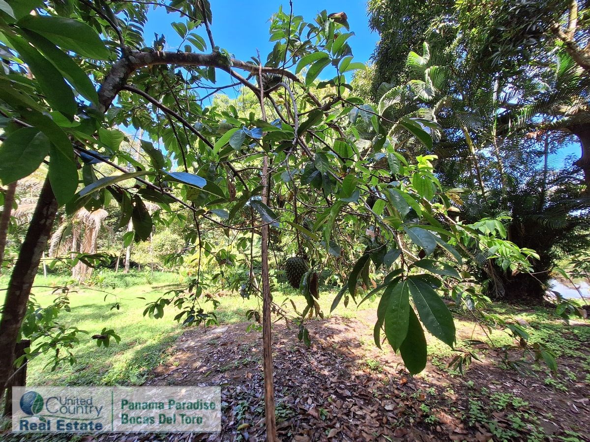 Waterfront Land with Cabin, 8.2 Acres — Bocas del Toro - 22