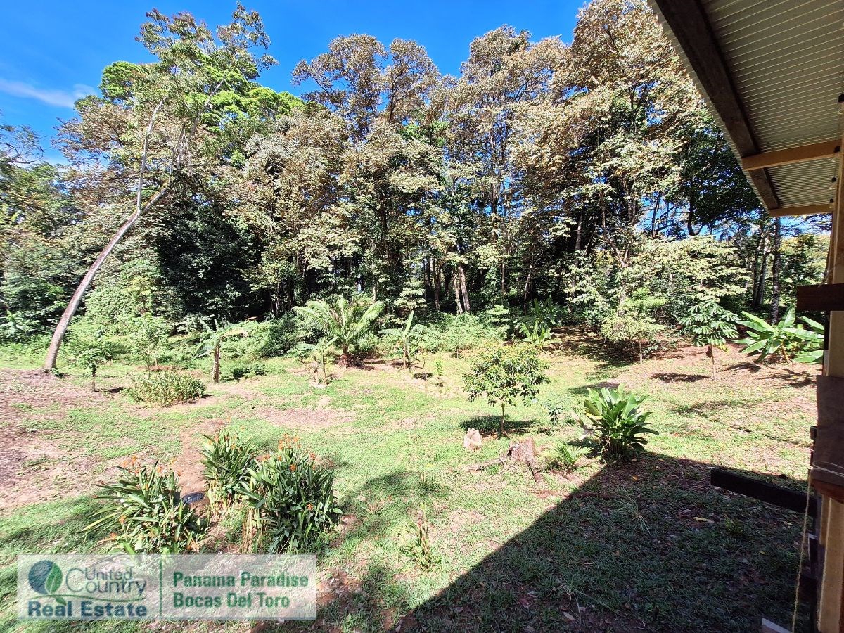 Waterfront Land with Cabin, 8.2 Acres — Bocas del Toro - 14