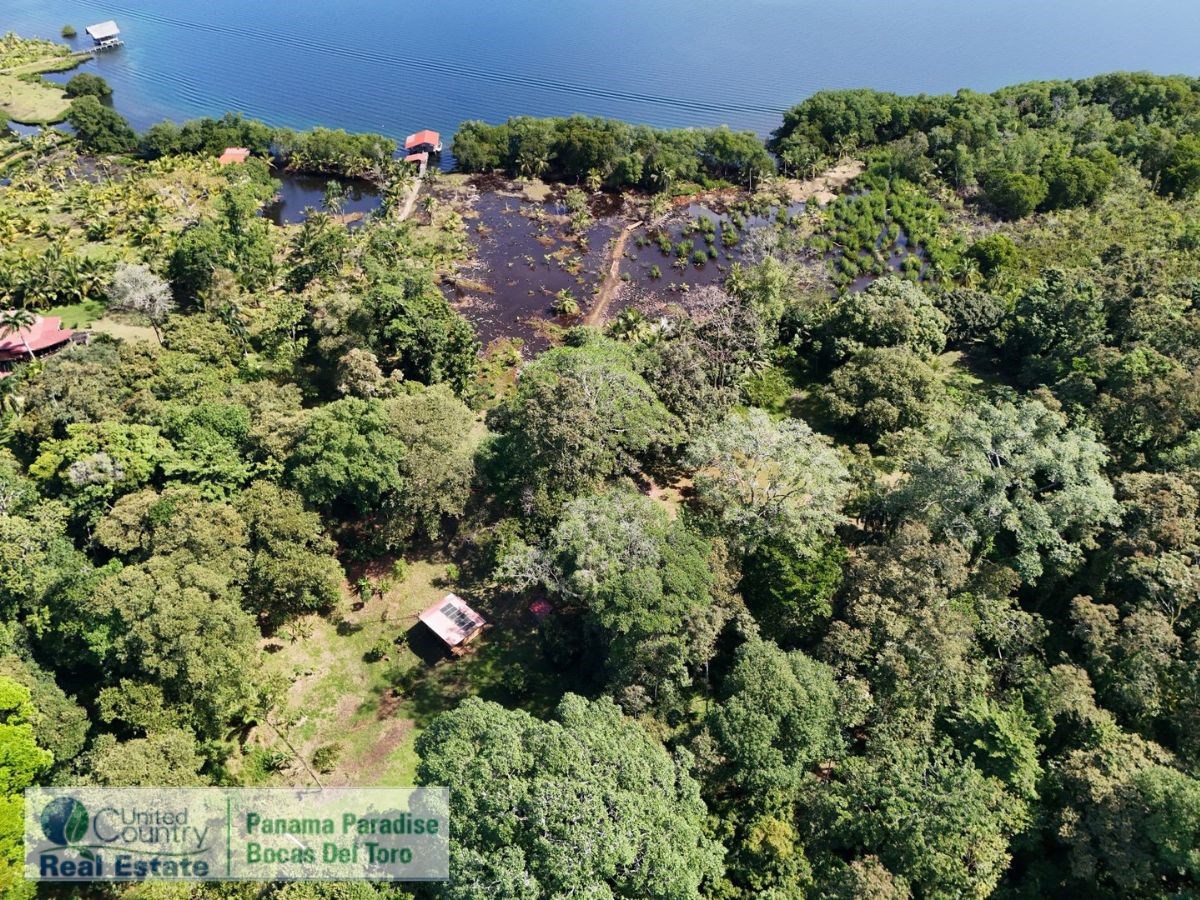 Waterfront Land with Cabin, 8.2 Acres — Bocas del Toro - 4