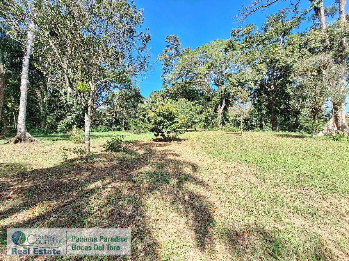 Waterfront Land with Cabin, 8.2 Acres — Bocas del Toro - 18